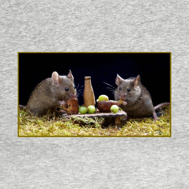 George the mouse in a log pile house . two wild mice having dinner by Simon-dell